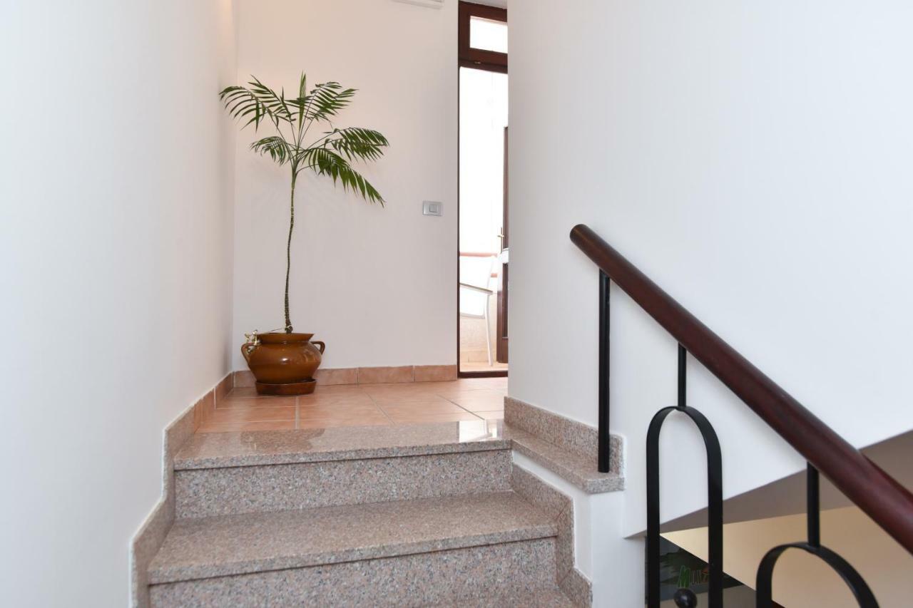 Guest House Jedro Petrovac Exterior foto